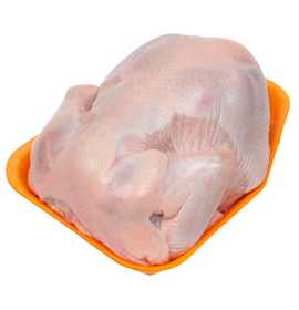 Цыпленок бройлера